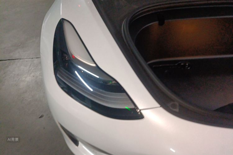 Tesla Model 3 2021 #8 Tesla Model 3 2021 car image #8