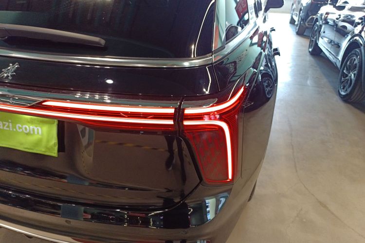 HongQi E-HS9 2021 صورة سيارة #8