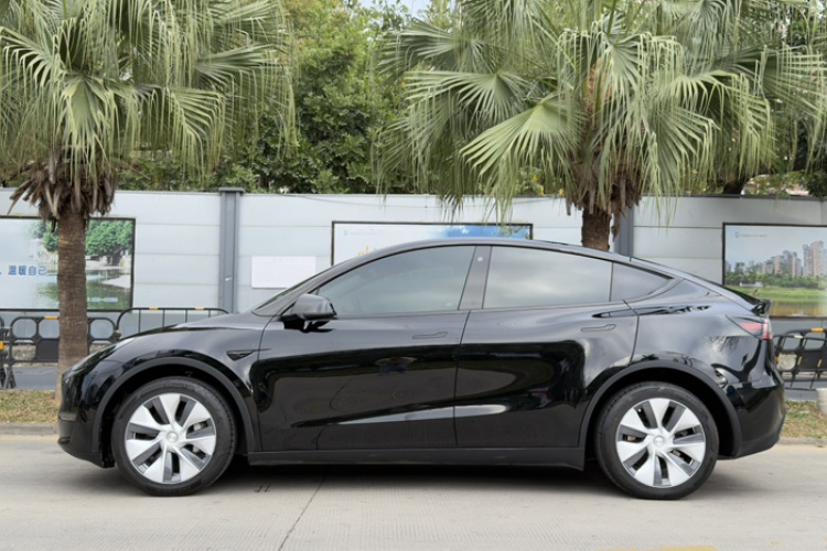 Tesla Model Y 2023 car image #8