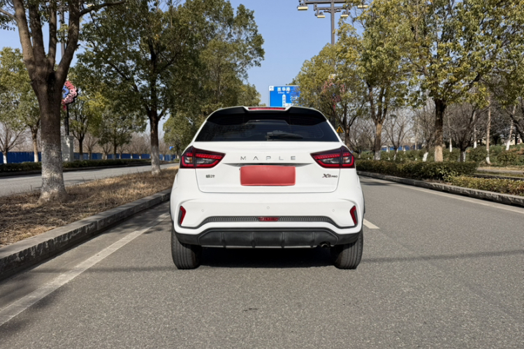 X3 PRO 2023 #8 X3 PRO 2023 car image #8