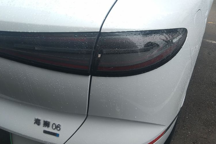 BYD Sea Lion 06 New Energy 2025 car image #8