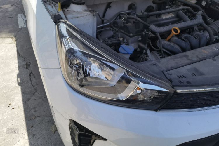 Kia Pegas 2019 image de voiture #8