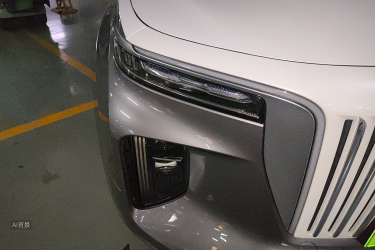 HongQi E-HS9 2022 car image #8