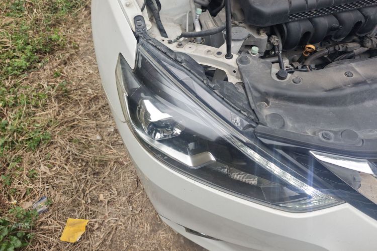 日产 轩逸 2019 汽车图片 #8