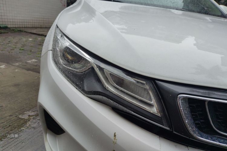 Emgrand GL 2019 #8 Emgrand GL 2019 car image #8