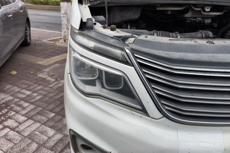 Forthing Lingzhi 2017 car image #8