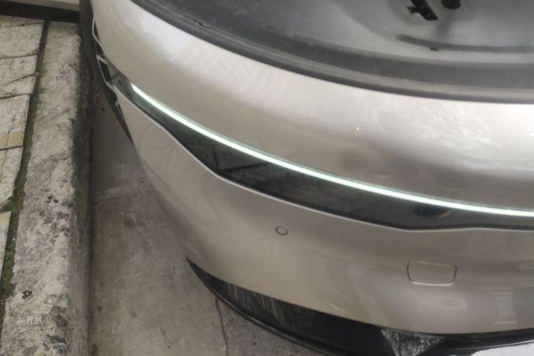 极氪 极氪007 2024 汽车图片 #8