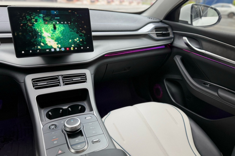 BYD Destroyer 05 2024 imagen de coche #8