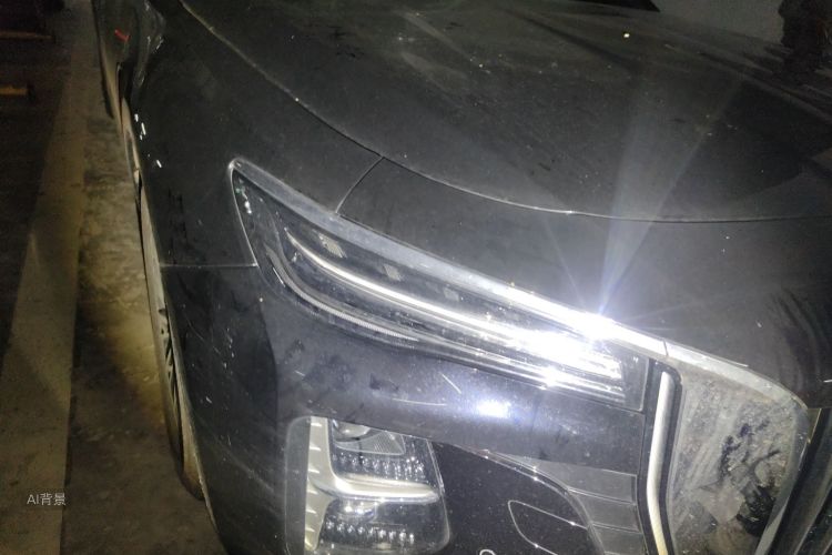 HongQi H5 2023 صورة سيارة #8