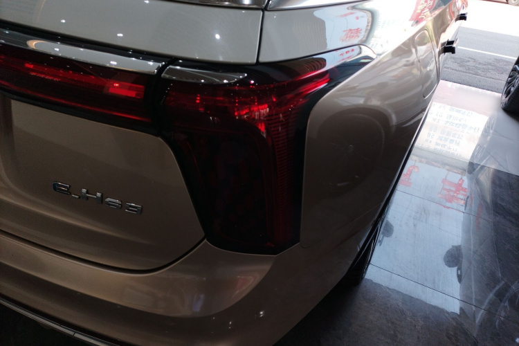 HongQi E-HS9 2021 imagem de carro #8