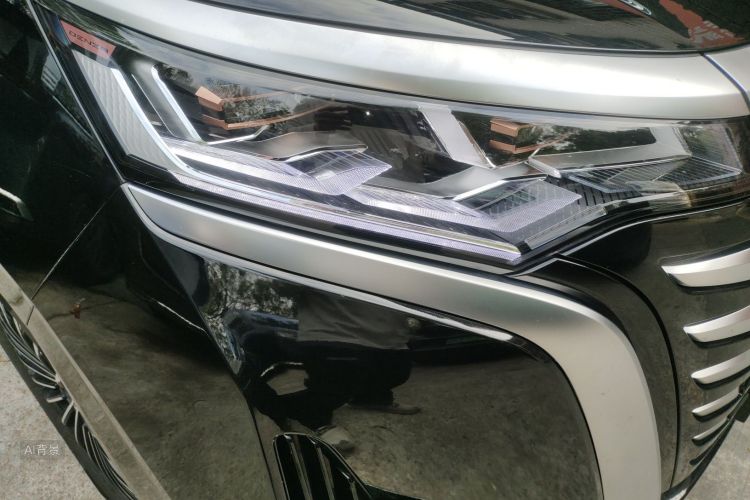 Denza D9 2023 imagem de carro #8