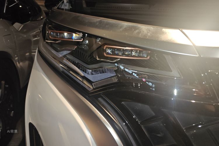 Denza D9 2023 imagen de coche #8