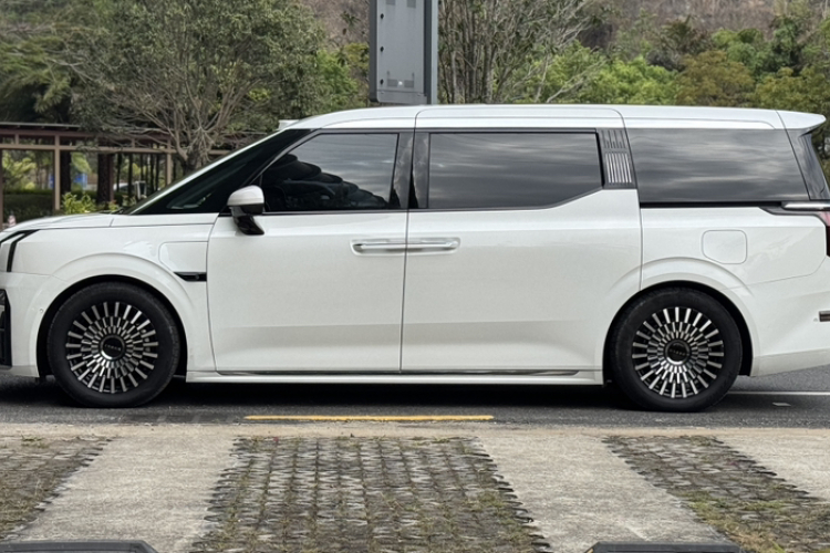 极氪 极氪009 2024 汽车图片 #8