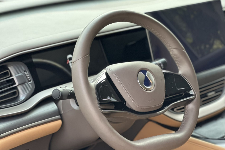 Denza D9 2023 imagem de carro #8