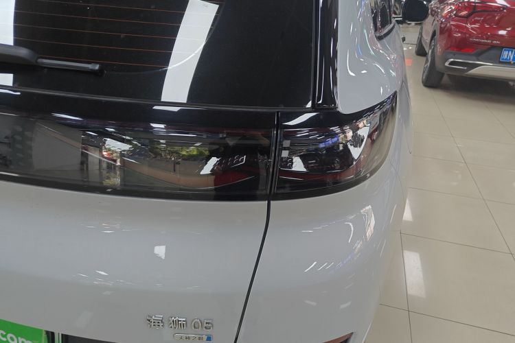 BYD Sea Lion 05 EV 2025 car image #8