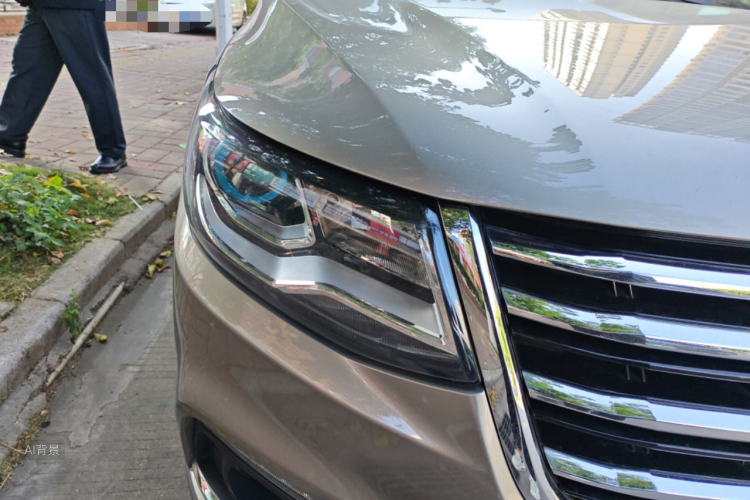 Forthing SX6 2016 car image #8