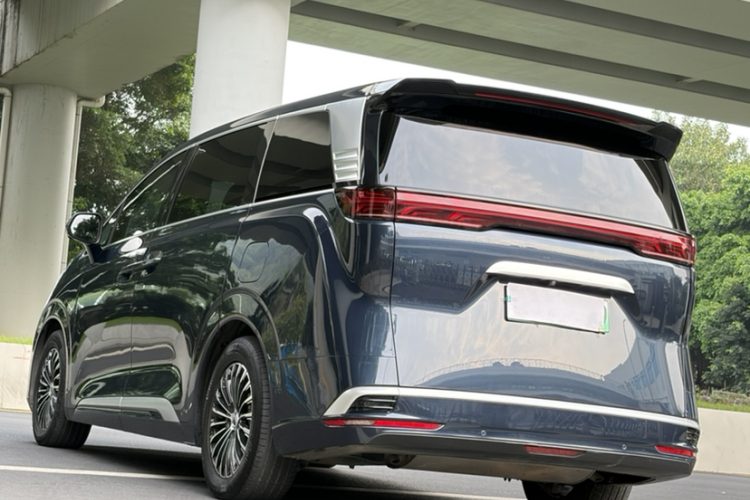 Denza D9 2023 imagen de coche #8