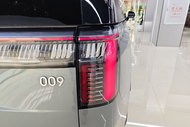 Zeekr 009 2025 car image #8