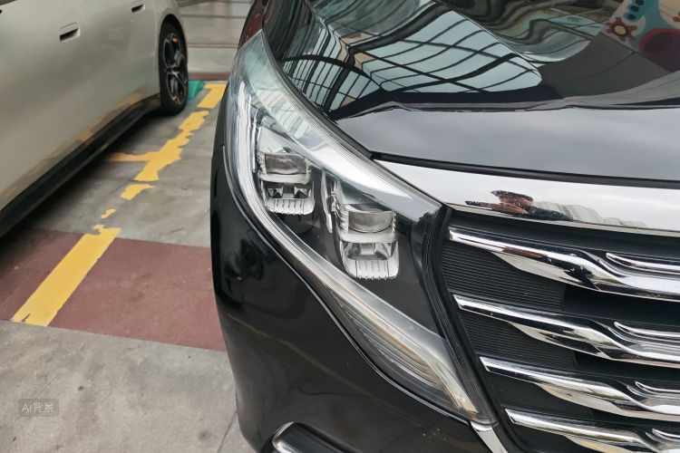 GAC Trumpchi M8 2019 car image #8