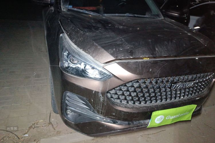 哈弗 哈弗M6 2020 汽车图片 #8