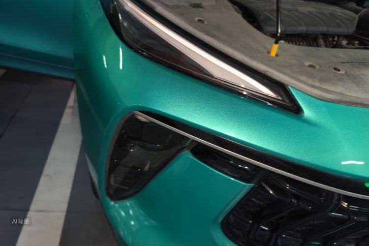 T5 EVO 2021 car image #8
