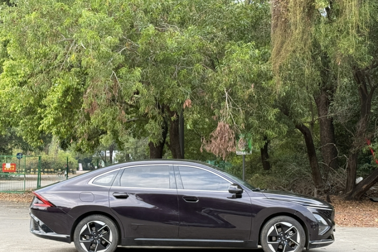 Wuling Starlight 2023 car image #8