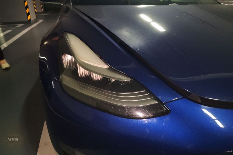 特斯拉 Model 3(进口) 2019 汽车图片 #8