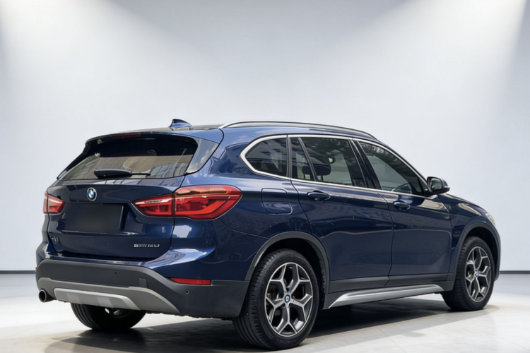 BMW X1 2019 car image #8