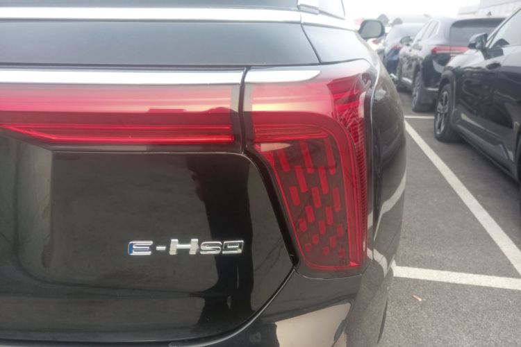 HongQi E-HS9 2023 image de voiture #8