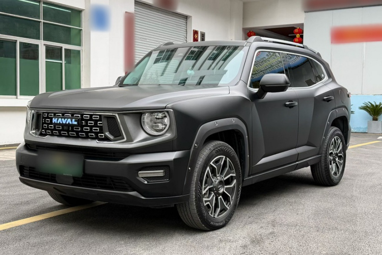 Haval X Dog 2 New Energy 2023 car image #8