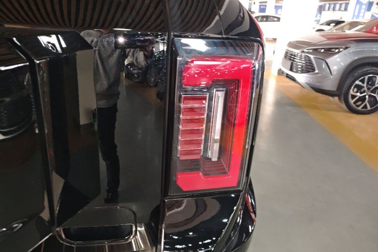 FangChengBao Leopard 8 2024 immagine di auto #8