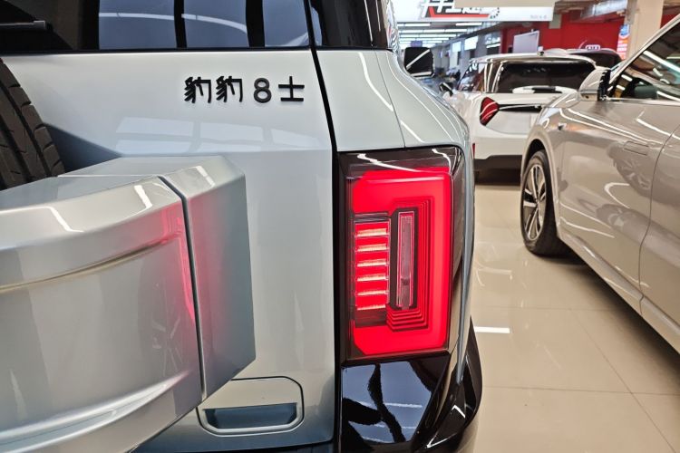 FangChengBao Leopard 8 2025 car image #8