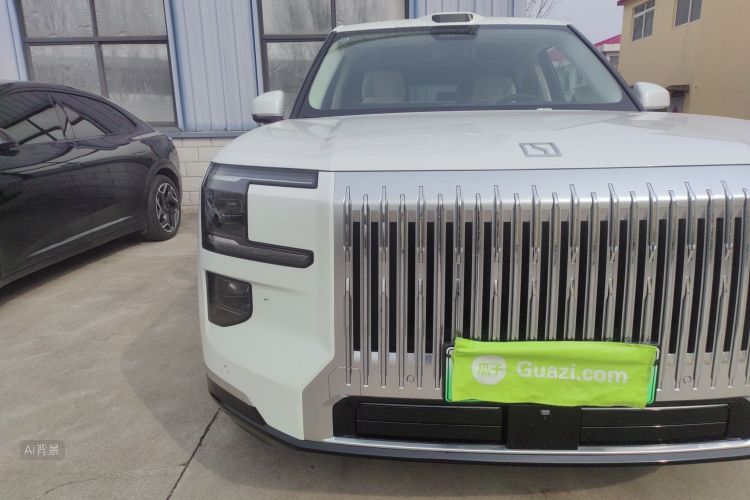 极氪 极氪9X 2025 汽车图片 #8