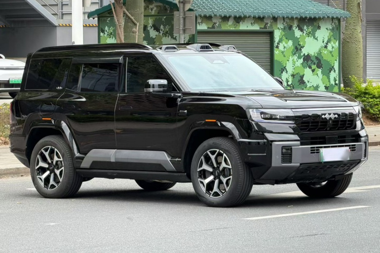 FangChengBao Leopard 8 2024 imagem de carro #8