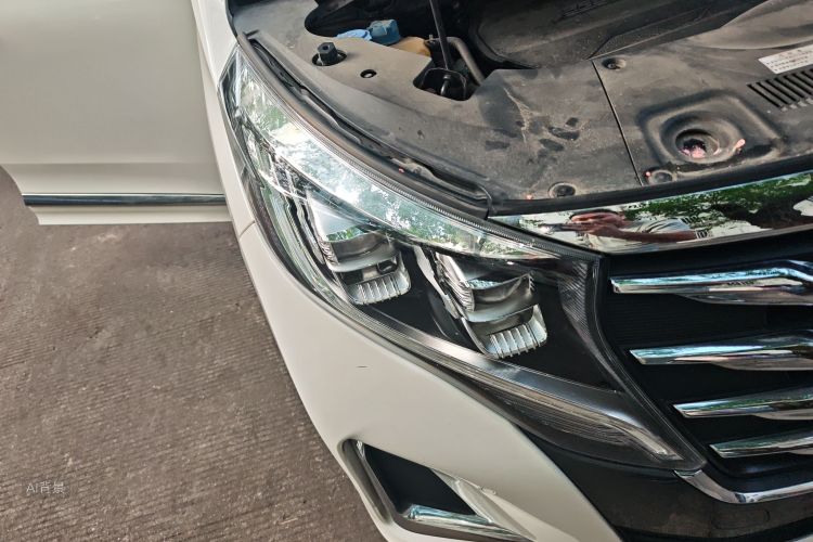 GAC Trumpchi M8 2020 car image #8