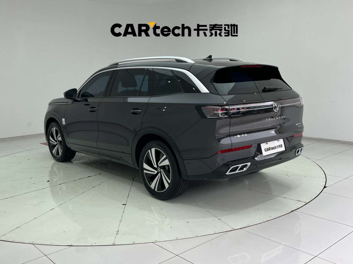 Volkswagen Tavendor 2023 car image #8