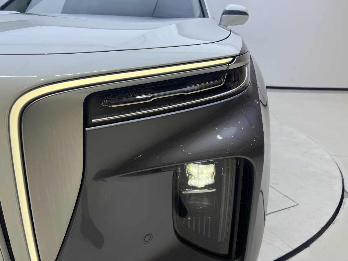 HongQi E-HS9 2022 car image #8