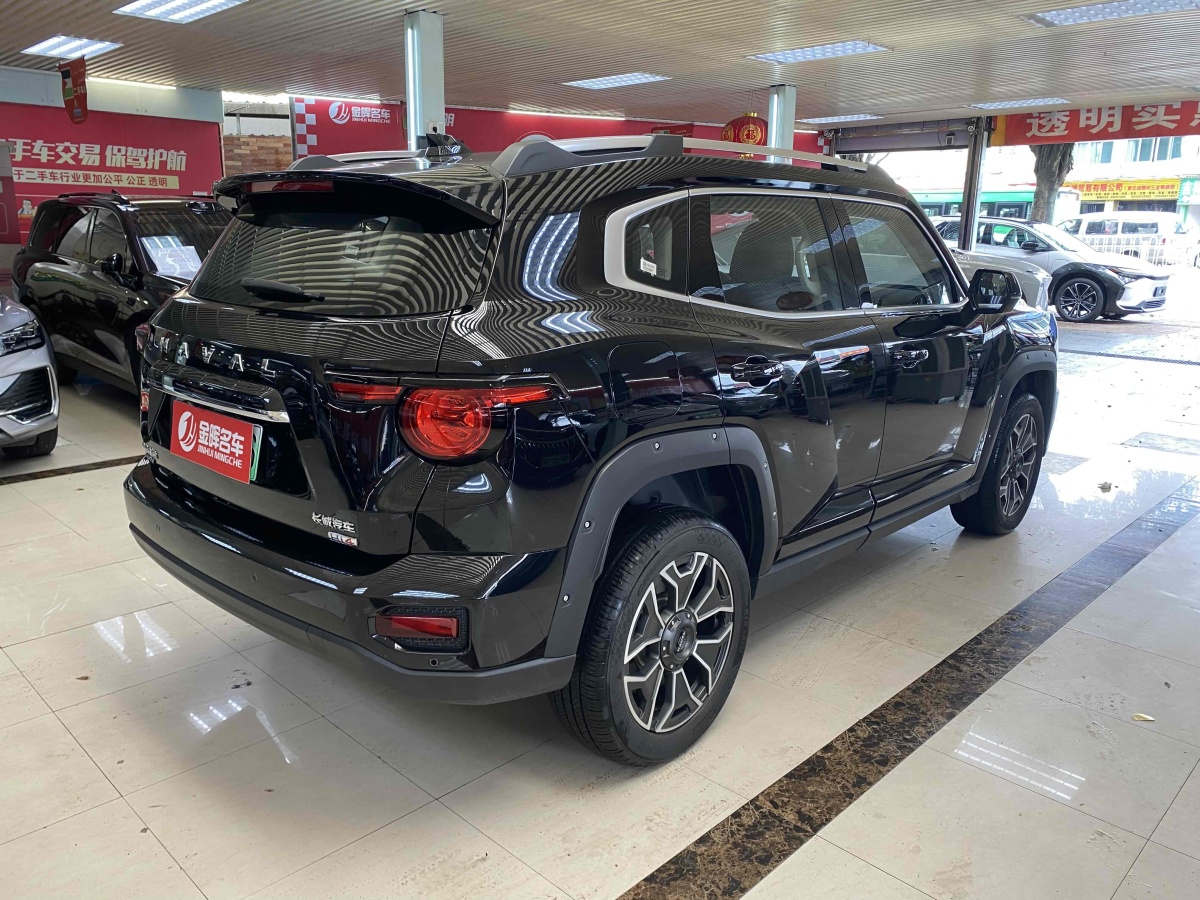Haval X Dog 2 New Energy 2024 car image #8