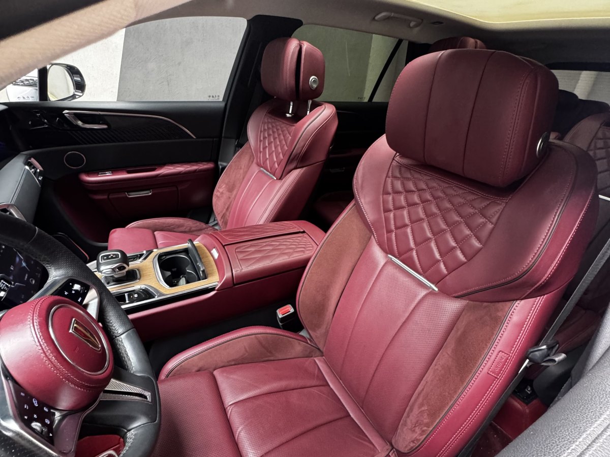 HongQi E-HS9 2021 #8 HongQi E-HS9 2021 immagine di auto #8