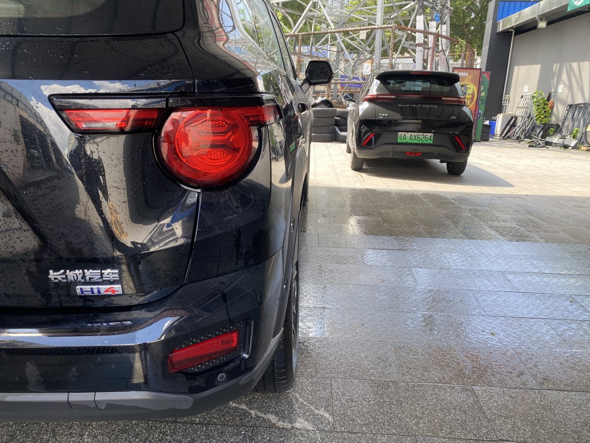 Haval X Dog 2 New Energy 2024 car image #8