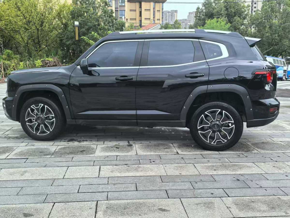 Haval X Dog 2 New Energy 2024 car image #8