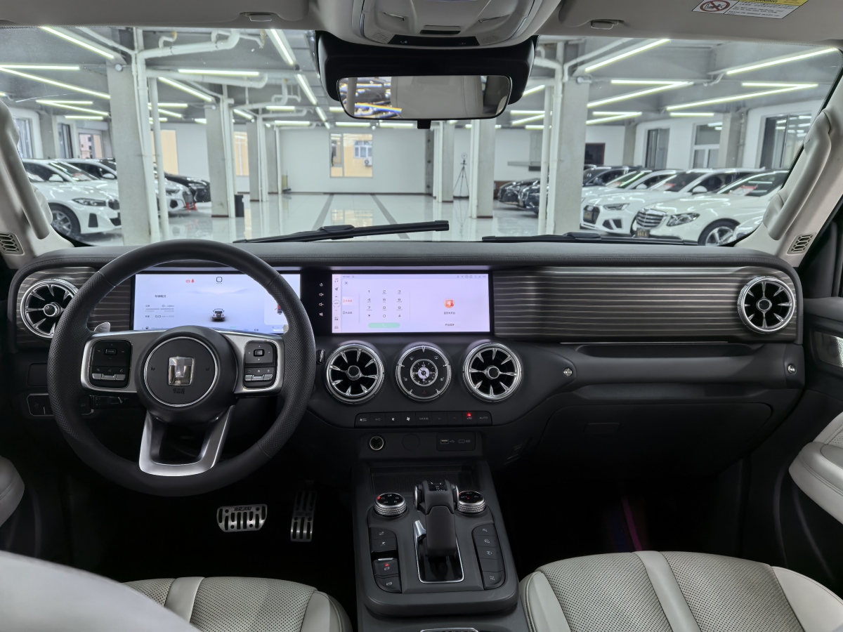 Tank 300 New Energy 2024 #8 Tank 300 New Energy 2024 car image #8