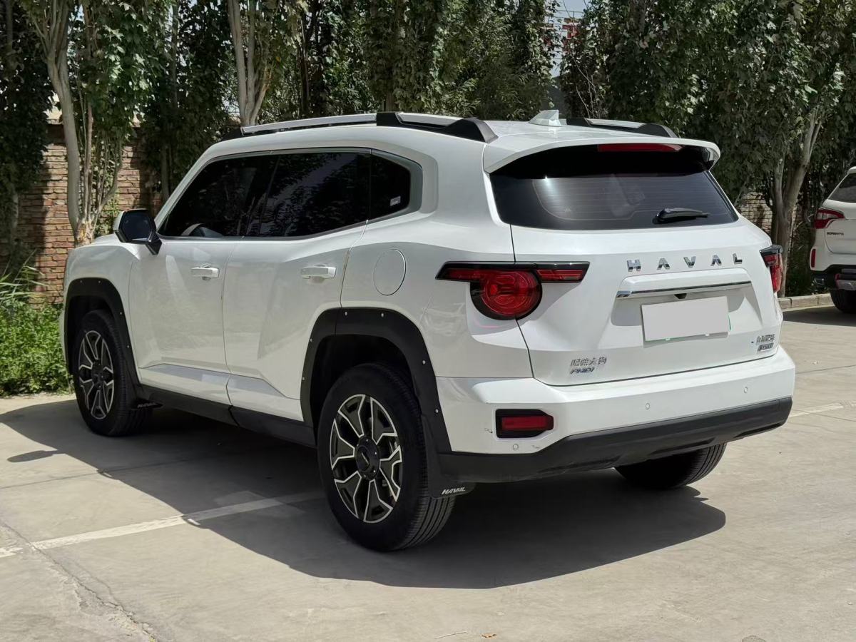 Haval X Dog 2 New Energy 2023 car image #8