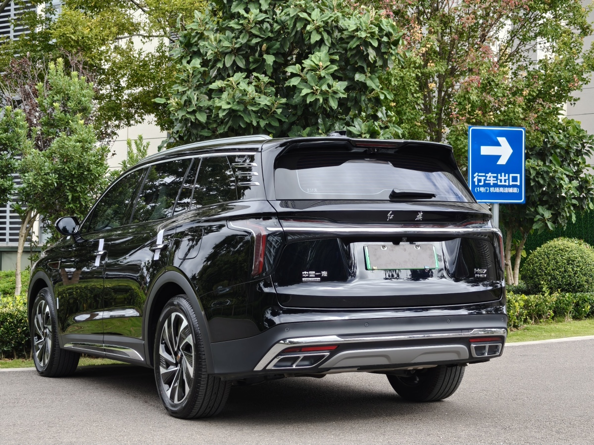 HongQi HS7 PHEV 2024 car image #8