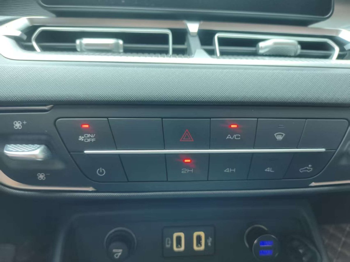 Great Wall Jingang Pao 2022 car image #8