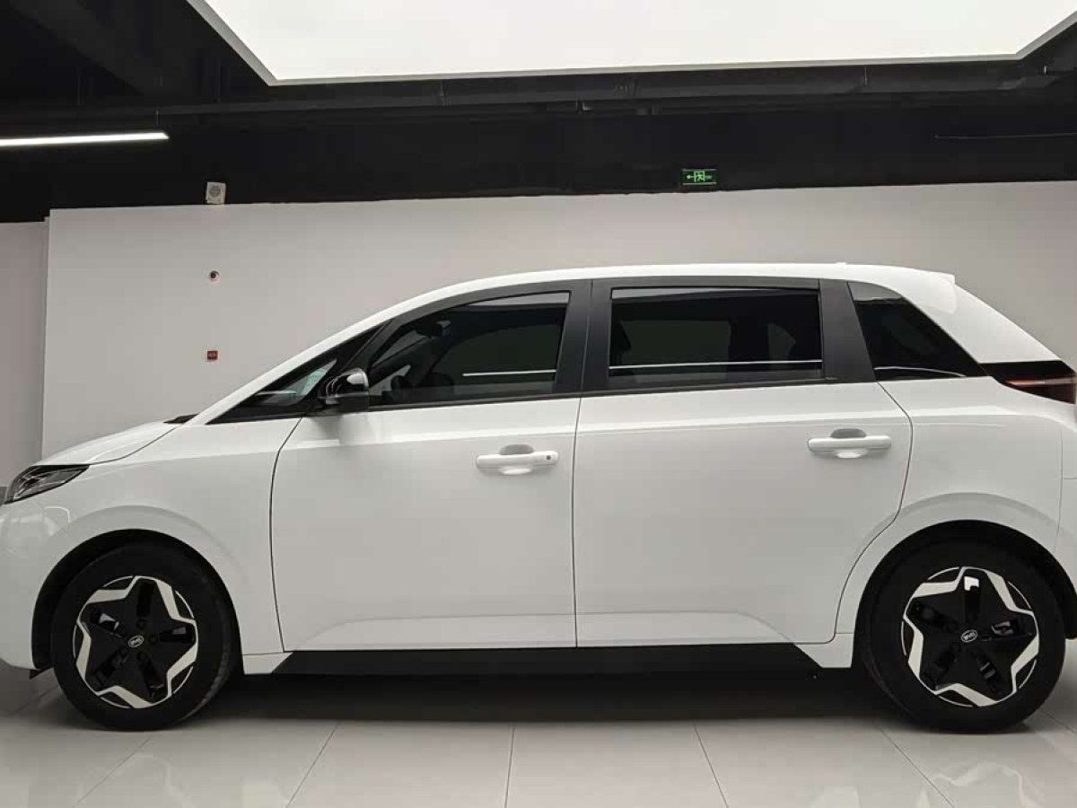 BYD D1 2023 #8 BYD D1 2023 car image #8
