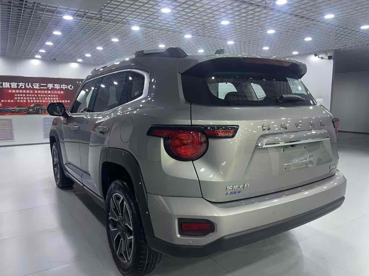 Haval X Dog 2 New Energy 2023 car image #8