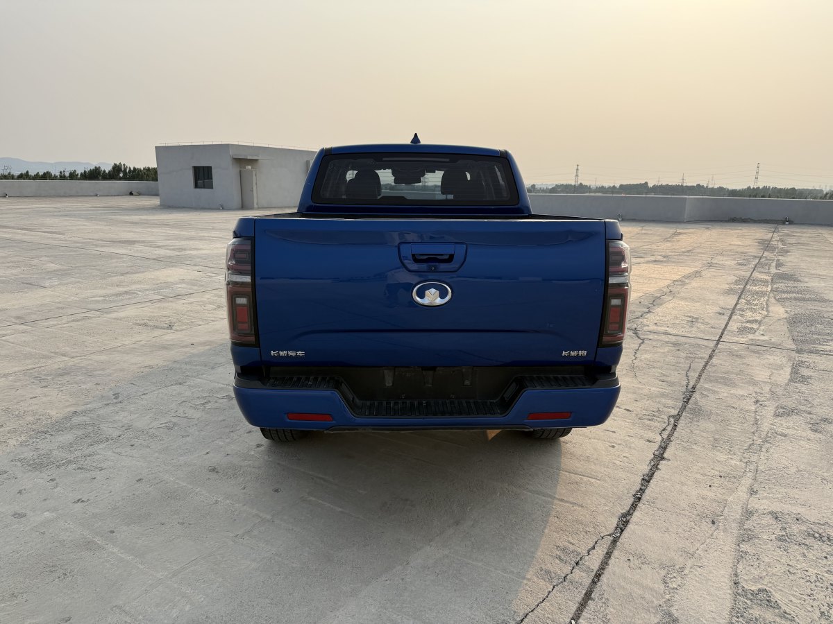 Great Wall Poer 2021 car image #8