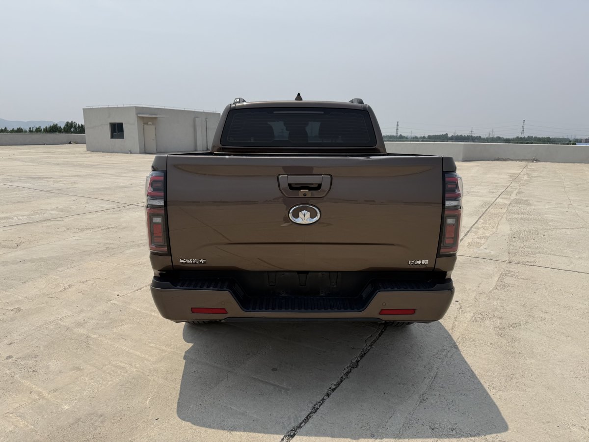 Great Wall Poer 2021 #8 Great Wall Poer 2021 car image #8