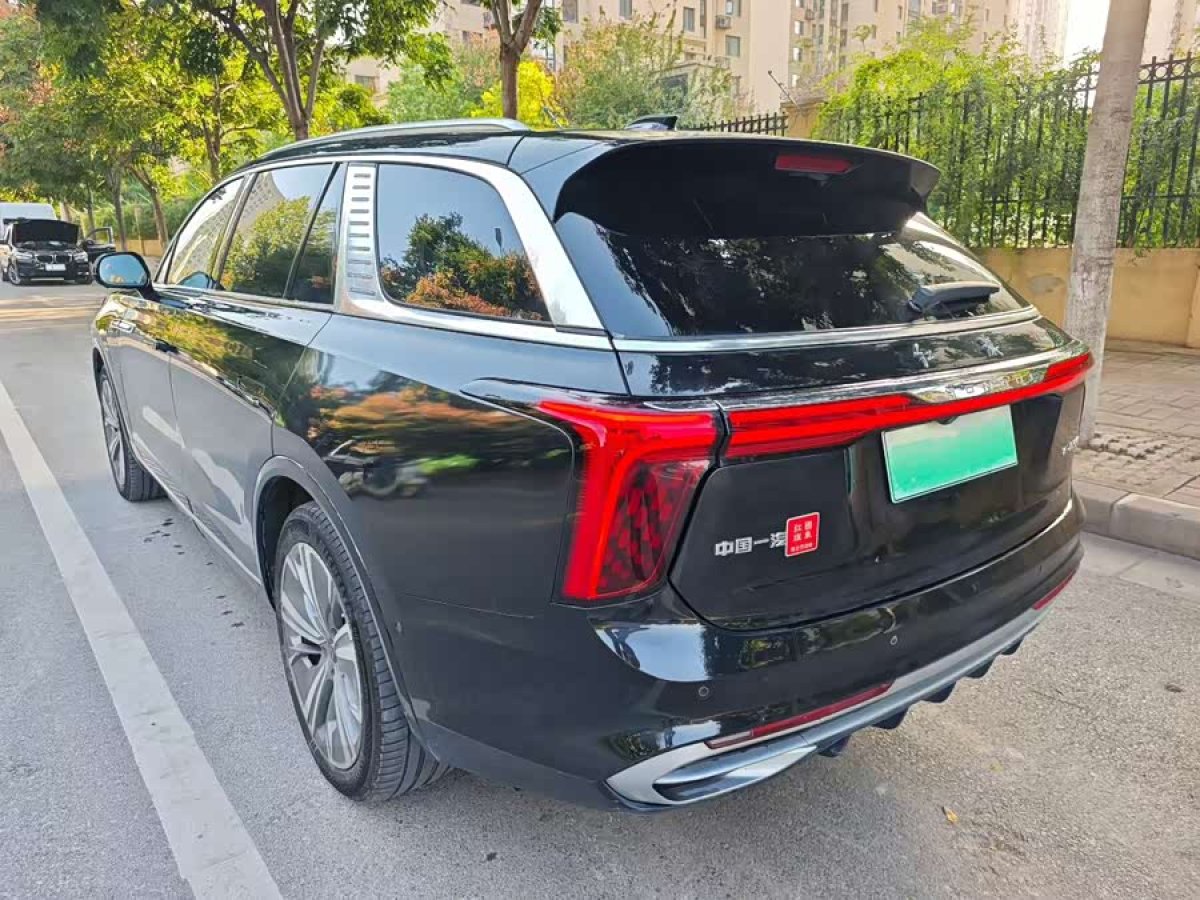 HongQi E-HS9 2022 car image #8